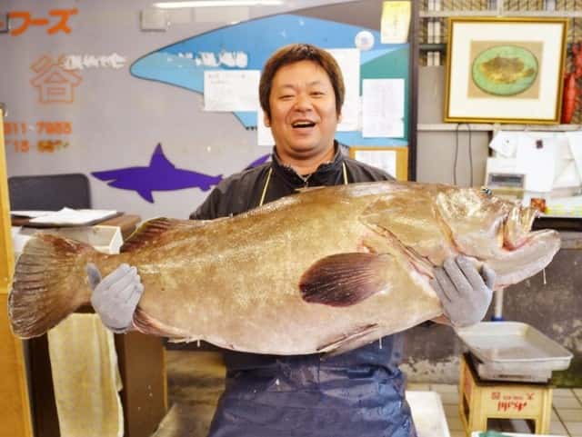 1日500食!淡路島玉ねぎ焼きそばが長田に!居酒屋「どら息子」開店