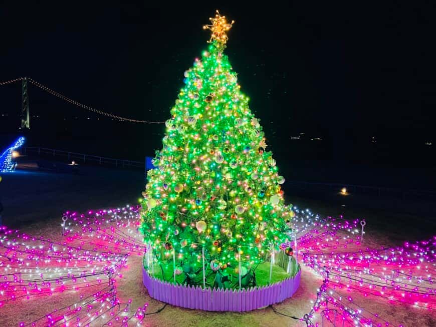 光輝くクジラとイルカ!大蔵海岸ハートフルイルミネーションで感動体験