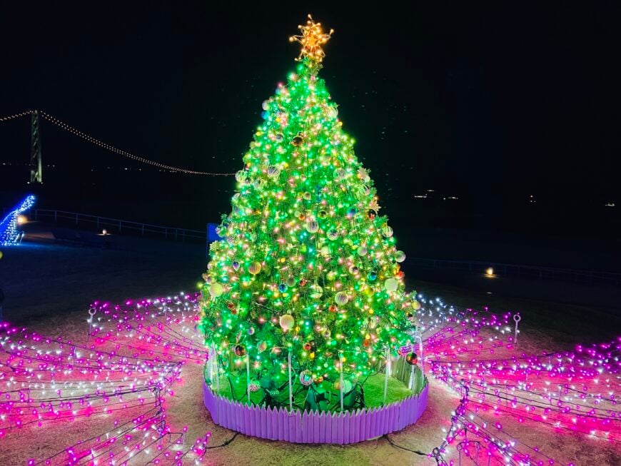 光輝くクジラとイルカ!大蔵海岸ハートフルイルミネーションで感動体験