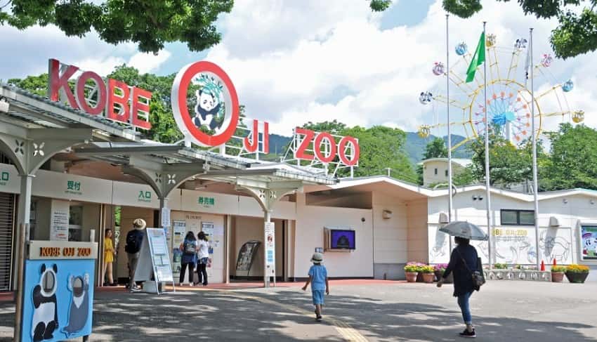 王子動物園:2026年カレンダー、新年3日間先着プレゼント!