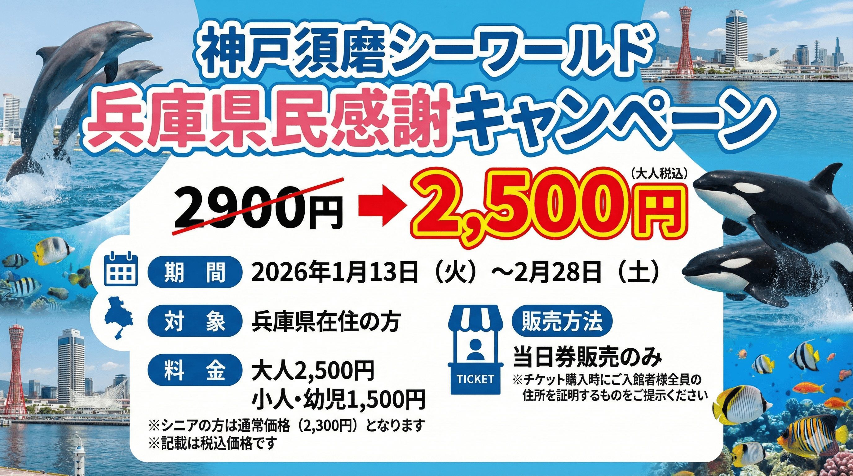 神戸須磨シーワールドで特別な体験を!兵庫県民限定「感謝月間」開催