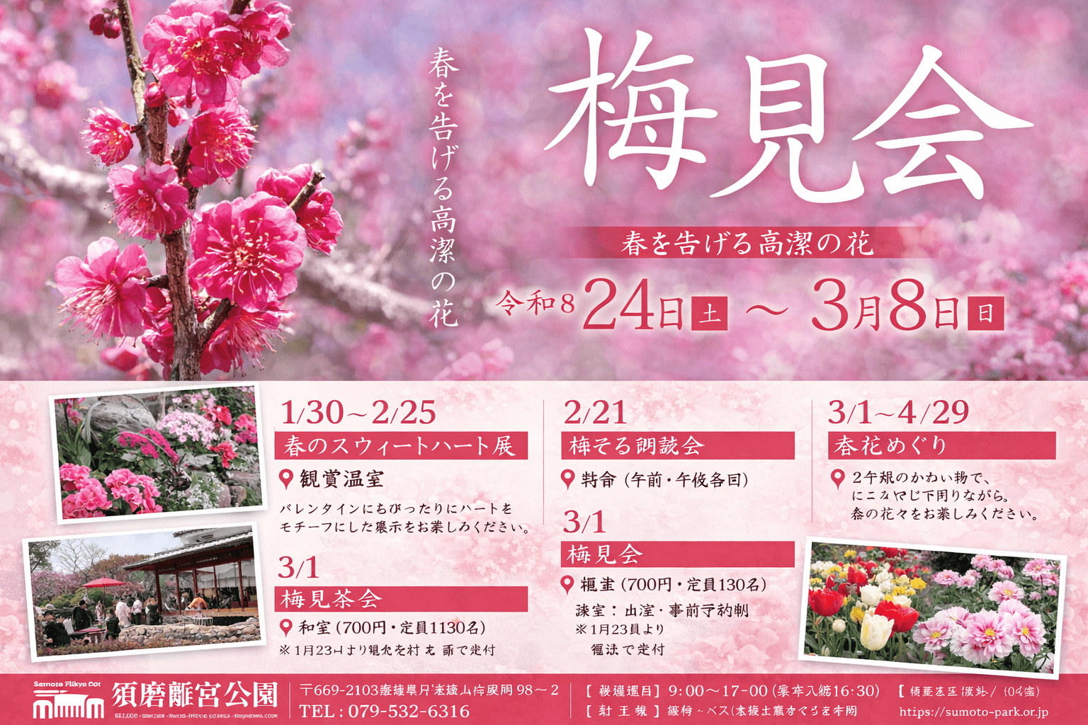 須磨離宮公園 梅見会2026!神戸で早春の梅を楽しむ