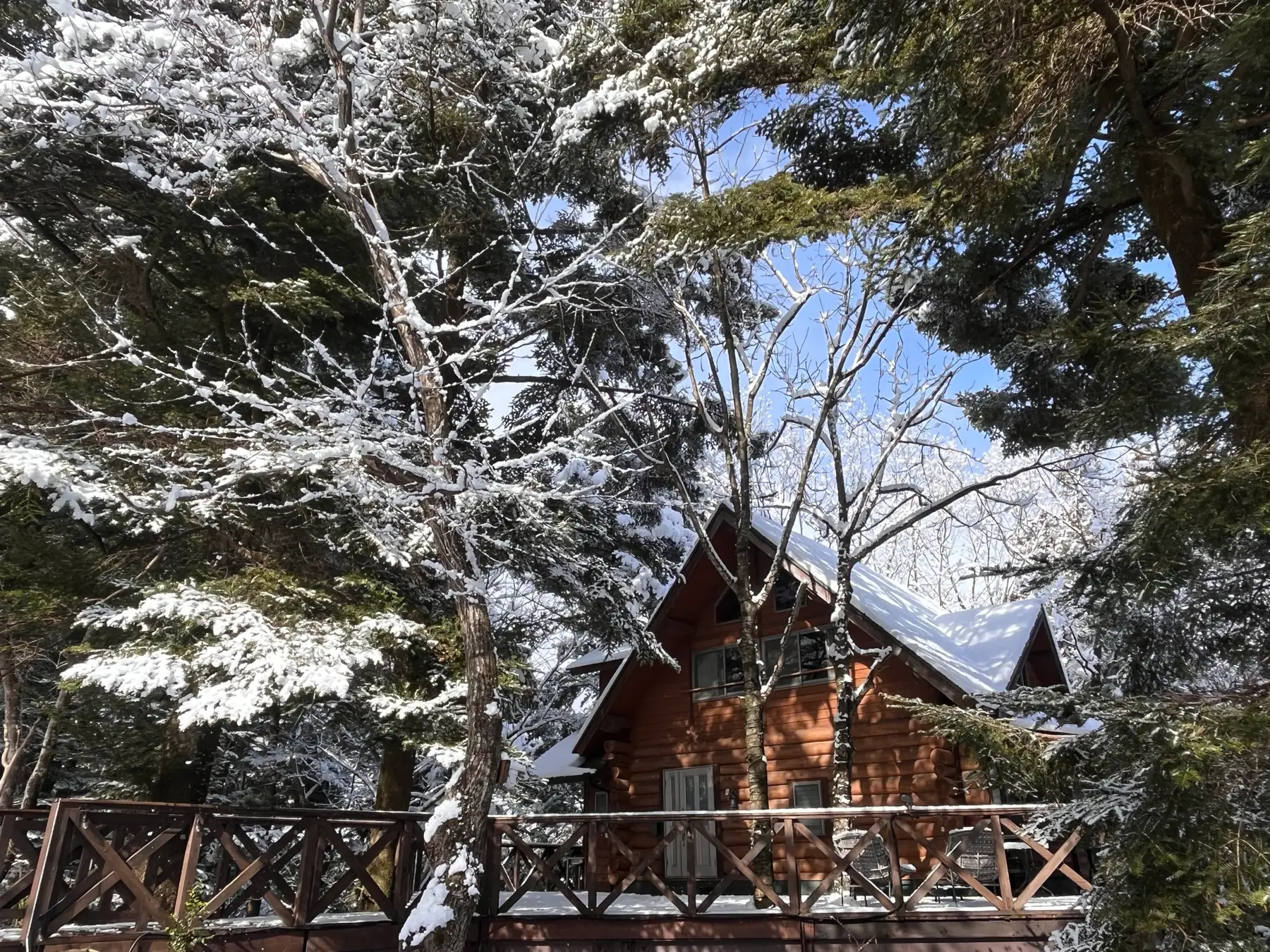 宍粟市グランピング、温泉付き宿泊60日前予約で最大10%OFF